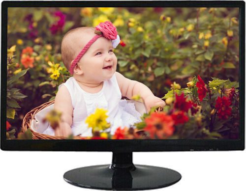 poly Sonic 17 inch monitor polysonic monitor